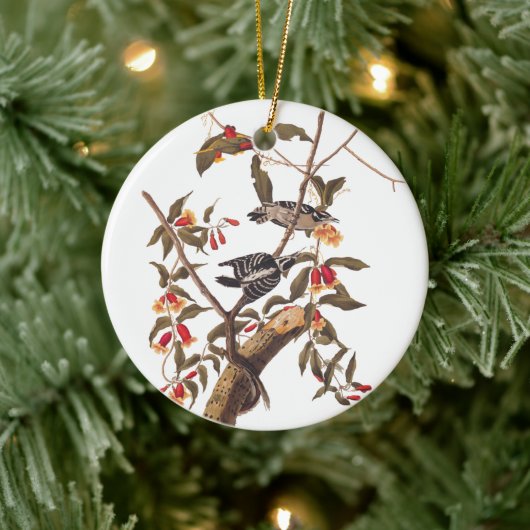 Audubon Downy Woodpecker Pair Keramikornament (Baum)