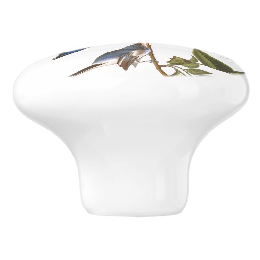 Audubon Drossel-Vogel-Tier-Tier-Griff Keramikknauf (Seitenansicht)