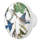 Audubon Drossel-Vogel-Tier-Tier-Griff Keramikknauf (Rechts)