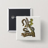 Audubon (Eastern Gray Eichhörnchen) Button (Vorne & Hinten)