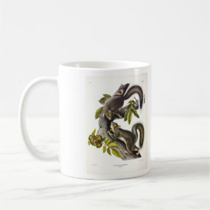 Audubon (Eastern Gray Eichhörnchen) Kaffeetasse
