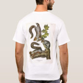 Audubon (Eastern Gray Eichhörnchen) T-Shirt (Rückseite)