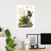 Audubon Eastern Meadowlard Poster (Heimbüro)