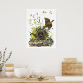 Audubon Eastern Meadowlard Poster (Küche)