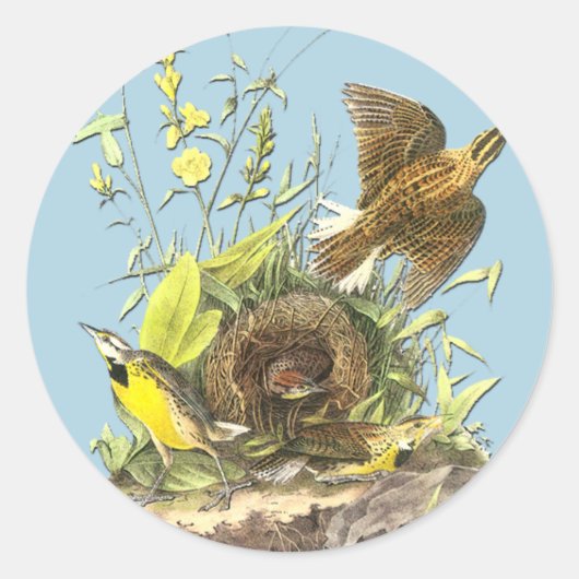 Audubon Eastern Meadowlark Bird Art Stickers (Vorderseite)