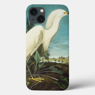 Audubon: Egret iPhone 13 Hülle