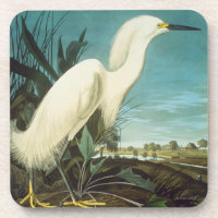Audubon: Egret