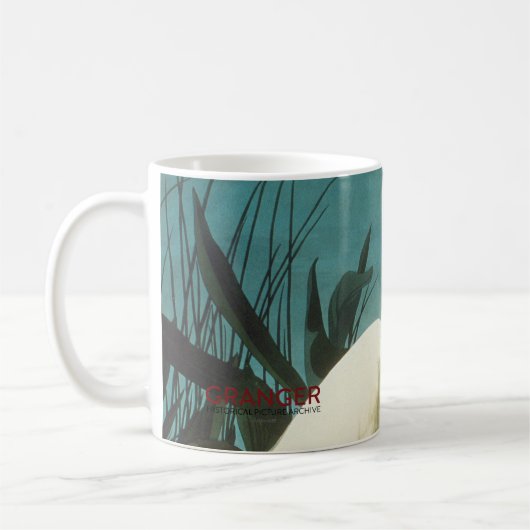 Audubon: Egret Kaffeetasse (Links)