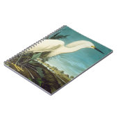 Audubon: Egret Notizblock (Linke Seite)