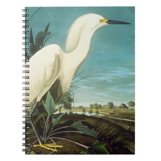 Audubon: Egret Notizblock (Vorderseite)