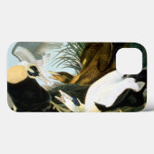 Audubon: Eider Duck Case-Mate iPhone Hülle (Rückseite (Horizontal))