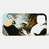 Audubon: Eider Duck Case-Mate iPhone Hülle (Rückseite (Horizontal))