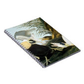 Audubon: Eiderenten-Ente Notizblock (Rechte Seite)