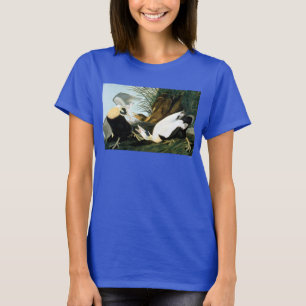 Audubon: Eiderenten-Ente T-Shirt