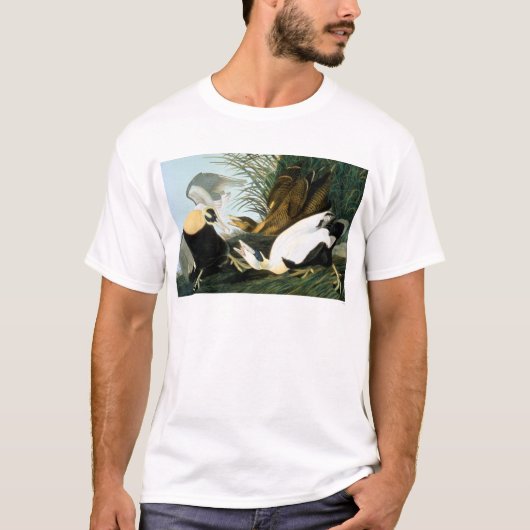 Audubon: Eiderenten-Ente T-Shirt (Vorderseite)
