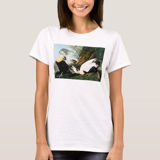 Audubon: Eiderenten-Ente T-Shirt (Vorderseite)