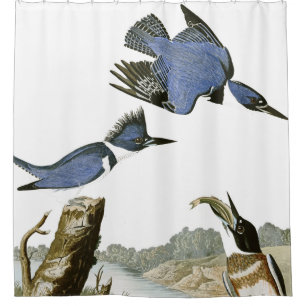 Audubon Eisvogel-Vogel-Tier-Duschvorhang Duschvorhang