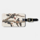 Audubon Elfenbeinspecht Gepäckanhänger (Vorderseite horizontal)