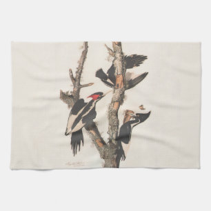 Audubon Elfenbeinspecht Handtuch