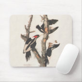 Audubon Elfenbeinspecht Mousepad (Mit Mouse)
