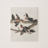 Audubon Elfenbeinspecht Puzzle (Vertikal)