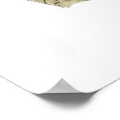 Audubon Elstern Vogel Poster (Ecke)