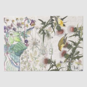 Audubon Fink-Vogel-Wildblumen-Seidenpapier Seidenpapier