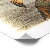 Audubon Flamingo Poster (Ecke)