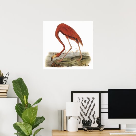 Audubon Flamingo Poster (Heimbüro)