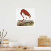 Audubon Flamingo Poster (Küche)