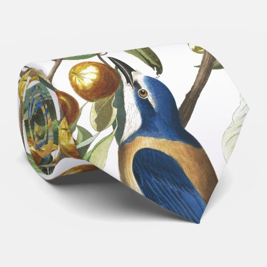 Audubon Florida Jay-Vogel-Tier-Tier-Krawatte Krawatte (Gerollt)