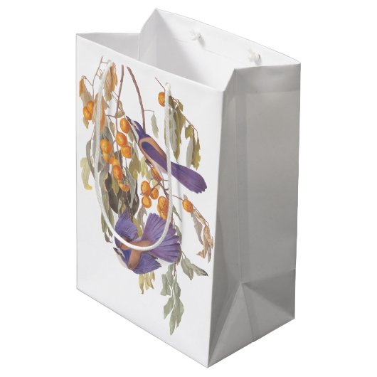 Audubon Florida Scrub Jay Bird auf Orange Tree Mittlere Geschenktüte (Rückseite Schrägansicht)