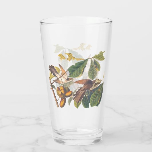 Audubon-Gelb-Kuckucksumpfe in Obstbaum Glas (Rückseite)