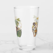 Audubon-Gelb-Kuckucksumpfe in Obstbaum Glas (Links)