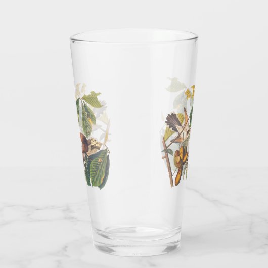 Audubon-Gelb-Kuckucksumpfe in Obstbaum Glas (Rechts)