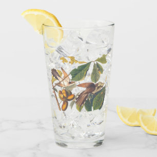 Audubon-Gelb-Kuckucksumpfe in Obstbaum Glas