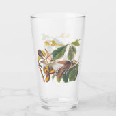 Audubon-Gelb-Kuckucksumpfe in Obstbaum Glas (Vorderseite)
