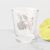 Audubon-Gelb-Kuckucksumpfe in Obstbaum Schnapsglas (Rückseite)