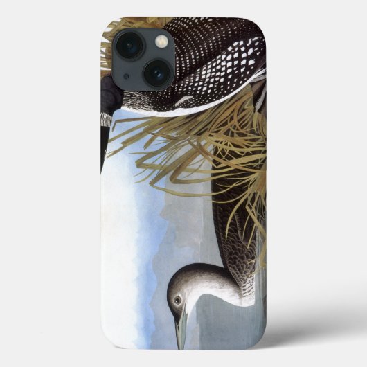 Audubon: Gemeiner Loon Case-Mate iPhone Hülle (Rückseite)