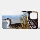 Audubon: Gemeiner Loon Case-Mate iPhone Hülle (Rückseite (Horizontal))