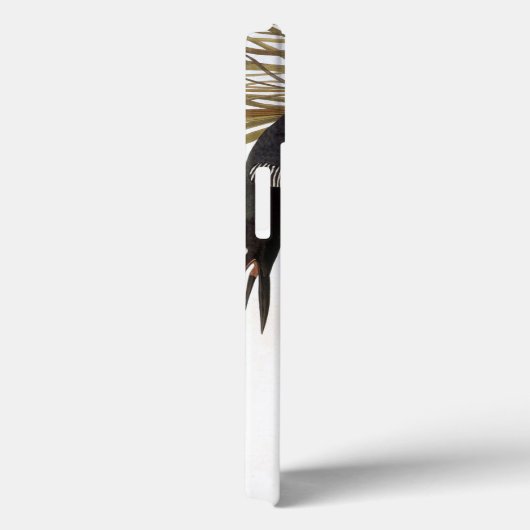 Audubon: Gemeiner Loon Case-Mate iPhone Hülle (Rückseite / Rechts)