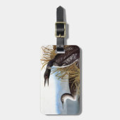 Audubon: Gemeiner Loon Gepäckanhänger (Vorderseite vertikal)