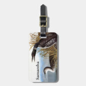 Audubon: Gemeiner Loon Gepäckanhänger (Vorderseite vertikal)