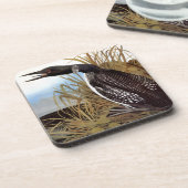 Audubon: Gemeiner Loon Getränkeuntersetzer (Linke Seite)