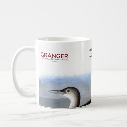 Audubon: Gemeiner Loon Kaffeetasse (Links)