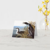 Audubon: Gemeiner Loon Karte (Gelbe Blume)