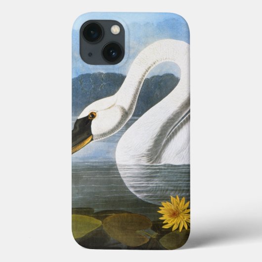 Audubon: Gemeiner Schwan Case-Mate iPhone Hülle (Rückseite)