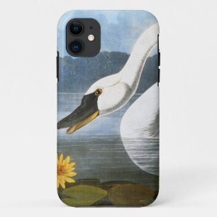 Audubon: Gemeiner Schwan Case-Mate iPhone Hülle