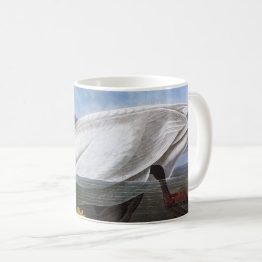 Audubon: Gemeiner Schwan Kaffeetasse (VorderseiteRechts)