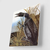 Audubon: Gemeinsames Loon Quadratische Wanduhr (Winkel)